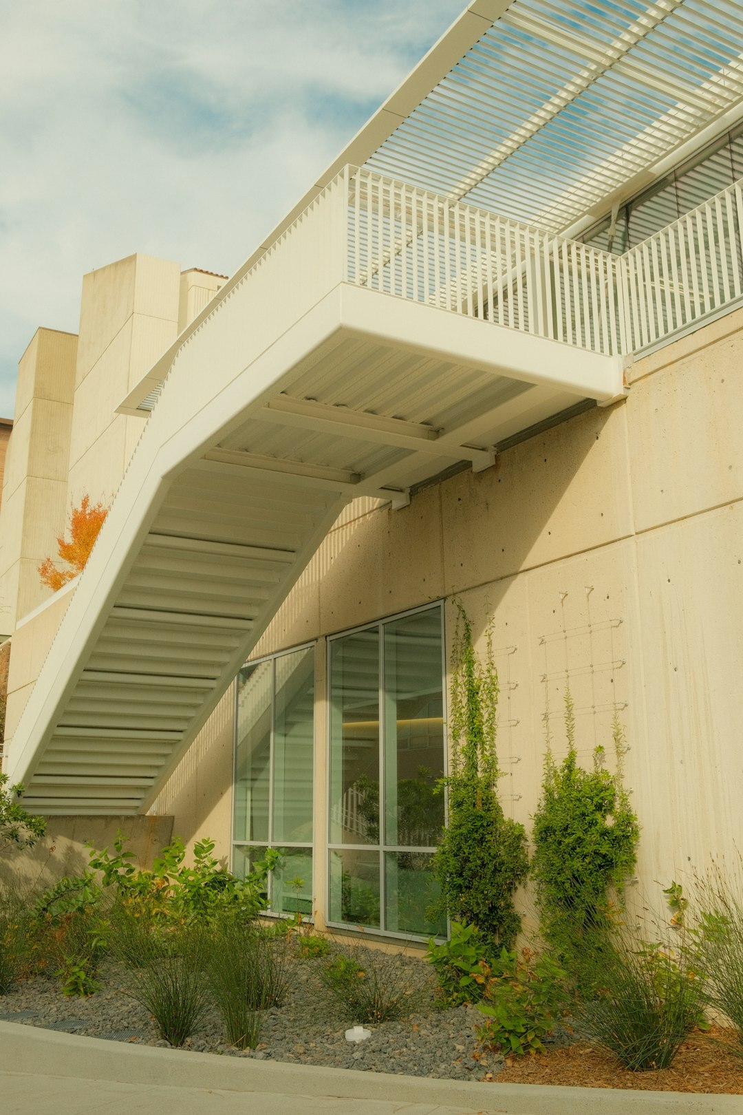 Modern community center building exterior with large windows