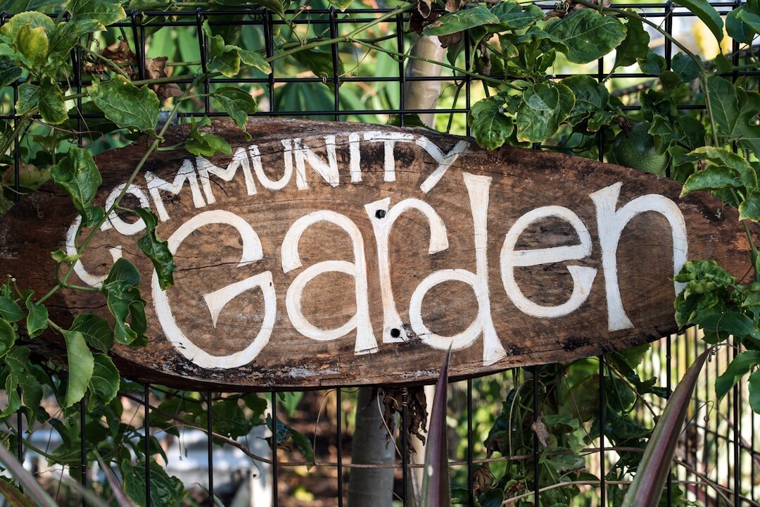 Seniors volunteering together in a community garden